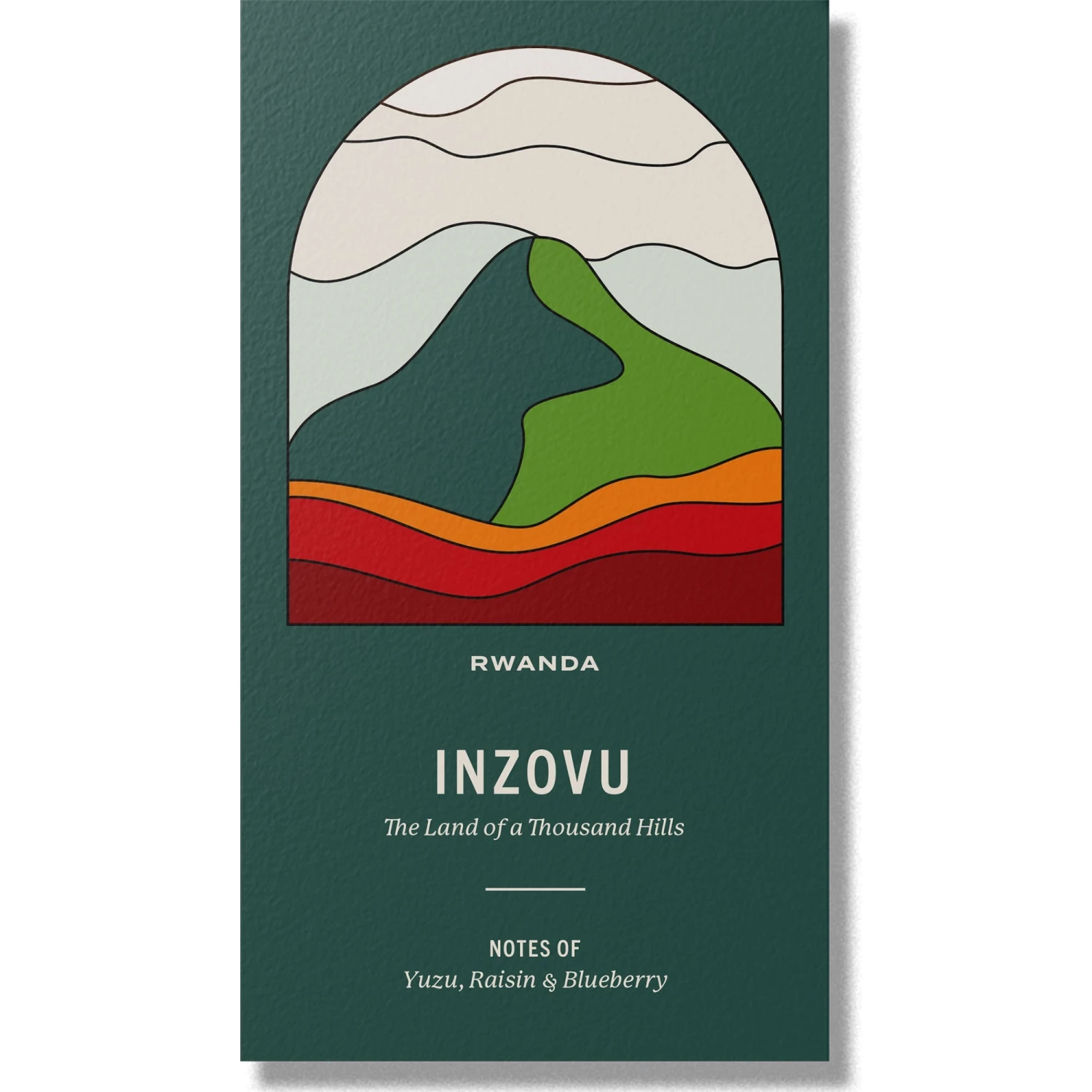 Rwanda Inzovu | Single Origin | Coffee Beans Or Fresh Ground Coffee | Roasted In Cambridge – 1kg 4 Rwanda Inzovu | Single Origin | Coffee Beans Or Fresh Ground Coffee | Roasted In Cambridge – 1kg - Image 2