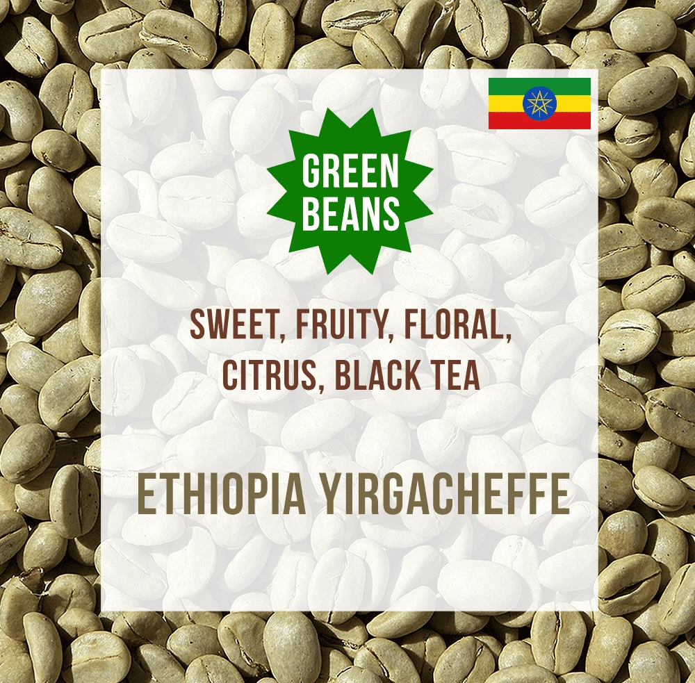 Ethiopia Yirgacheffe, Unroasted Green Coffee Beans – Box-of-8-x-2kg 2 Ethiopia Yirgacheffe, Unroasted Green Coffee Beans – Box-of-8-x-2kg