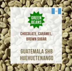 Guatemala SHB Huehuetenango, Unroasted Green Coffee Beans – Box-of-8-x-2kg