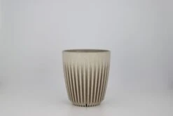 HuskeeCup – Cups (Natural) (8oz) (Pack Of 4) 13 HuskeeCup – Cups (Natural) (8oz) (Pack Of 4) -Coffee Supplies Store IMG 5749