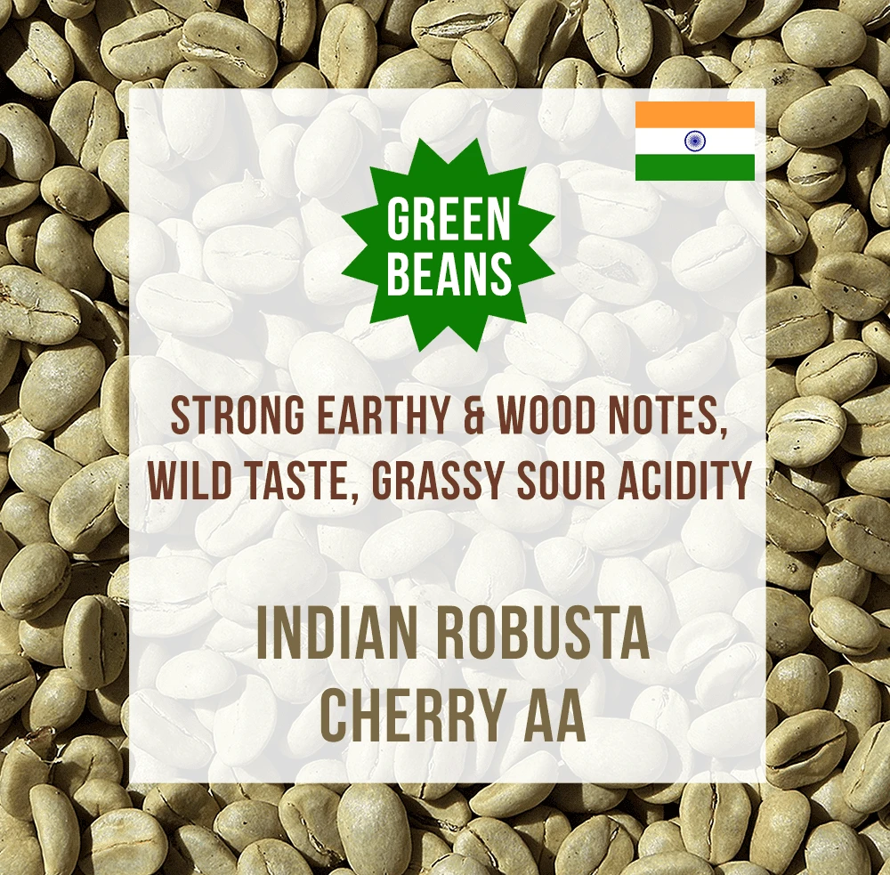 Indian Robusta Cherry AA, Unroasted Green Coffee Beans – Box-of-8-x-2kg 3 Indian Robusta Cherry AA, Unroasted Green Coffee Beans – Box-of-8-x-2kg